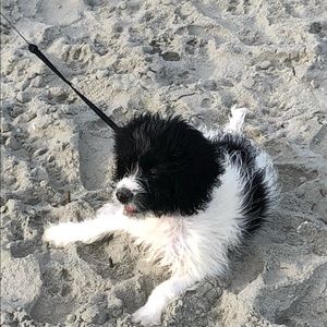 Meet your Posher, Gail